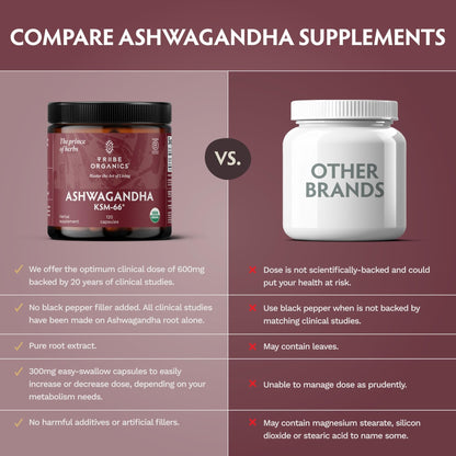 TRIBE ORGANICS Ashwagandha KSM 66 Pure Organic Root Powder Extract Ayurvedic Supplement - Focus, Mood Support, Increase Energy, Strength, 600mg of Natural KSM66 - PrimeBioHealth - canada supplements