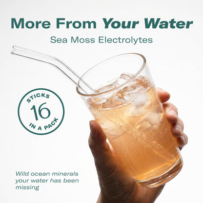 TrueSeaMoss Electrolytes Powder Packets – Made in USA – 16 Stickpacks – Hydration Powder with Sea Moss with Potassium – No Sugar Drinks – Variety Pack - PrimeBioHealth - canada supplements