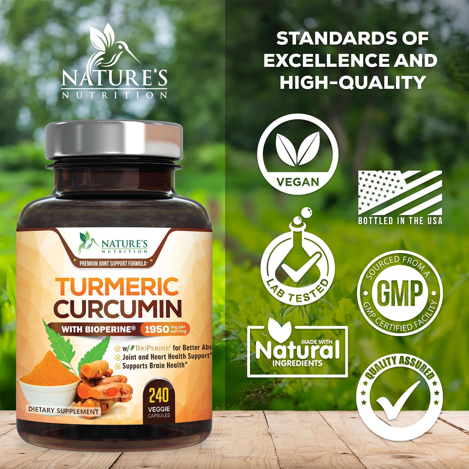 Turmeric Curcumin Supplement - 95% Curcuminoids with Organic Turmeric & BioPerine Black Pepper for Best Absorption - Daily Joint & Immune Health Support - PrimeBioHealth - canada supplements
