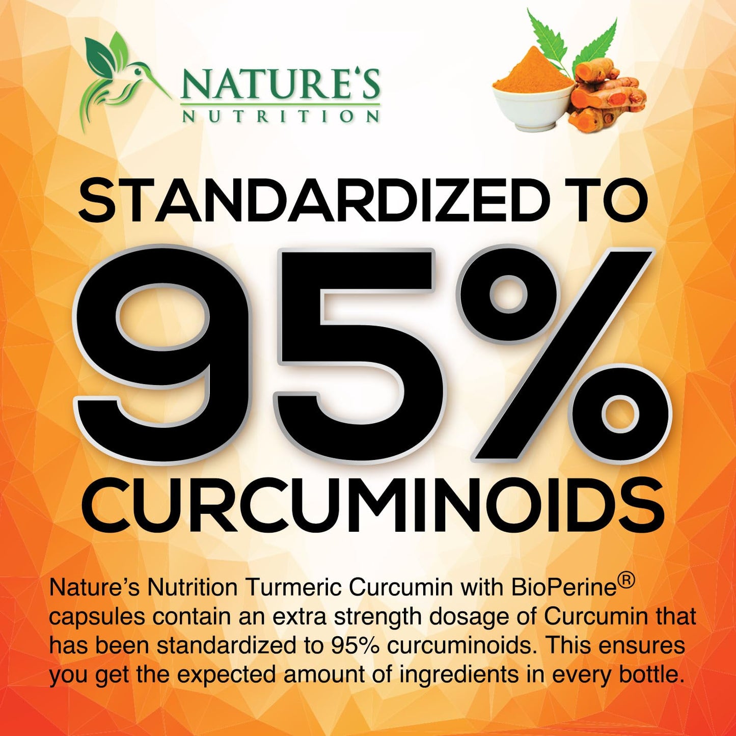 Turmeric Curcumin Supplement - 95% Curcuminoids with Organic Turmeric & BioPerine Black Pepper for Best Absorption - Daily Joint & Immune Health Support - PrimeBioHealth - canada supplements