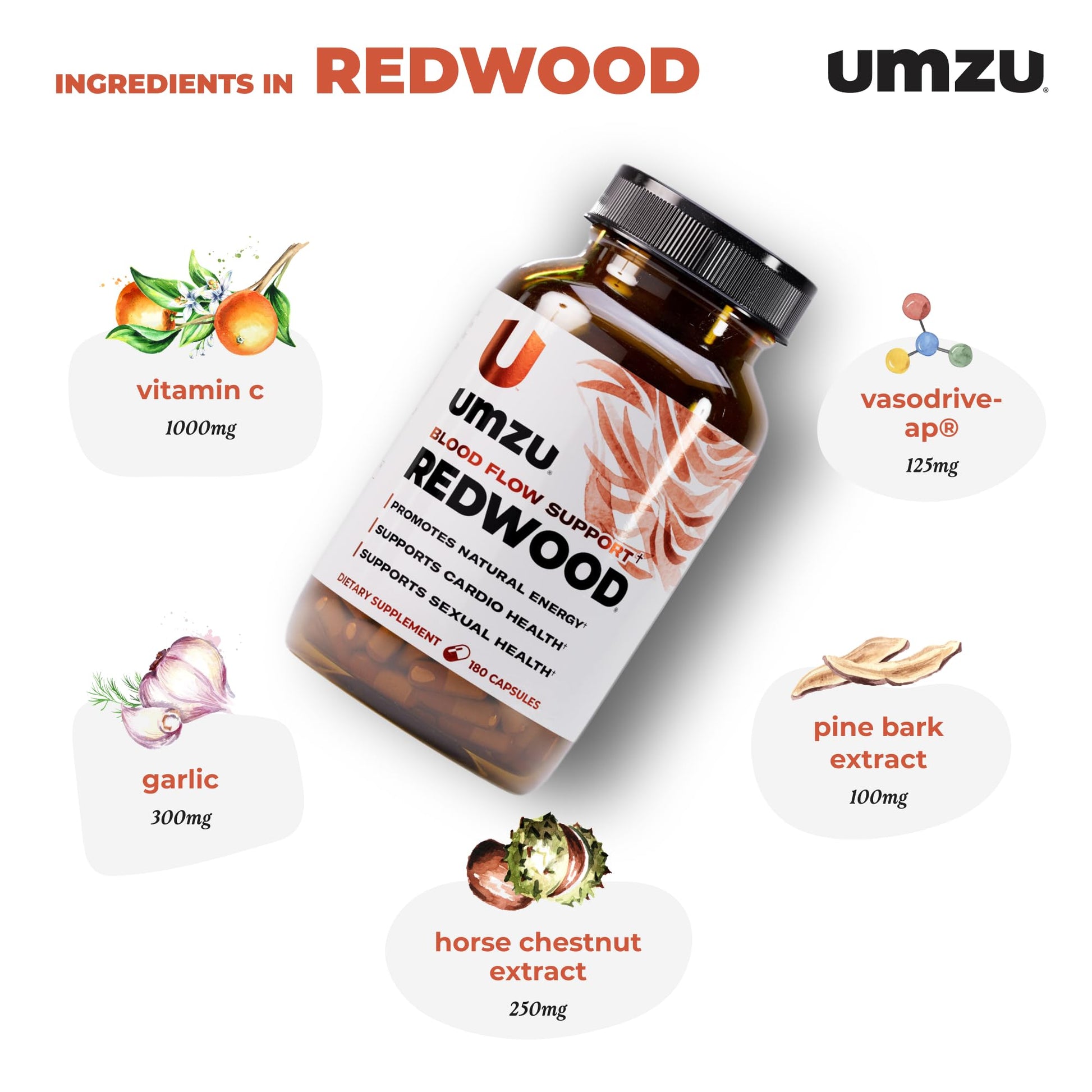 UMZU Redwood Nitric Oxide Booster, (30 Day Supply) – Vitamin C, Garlic & Horse Chestnut – Healthy Circulation & Endurance – Daily Cardiovascular Support Nitric Oxide - PrimeBioHealth - canada supplements