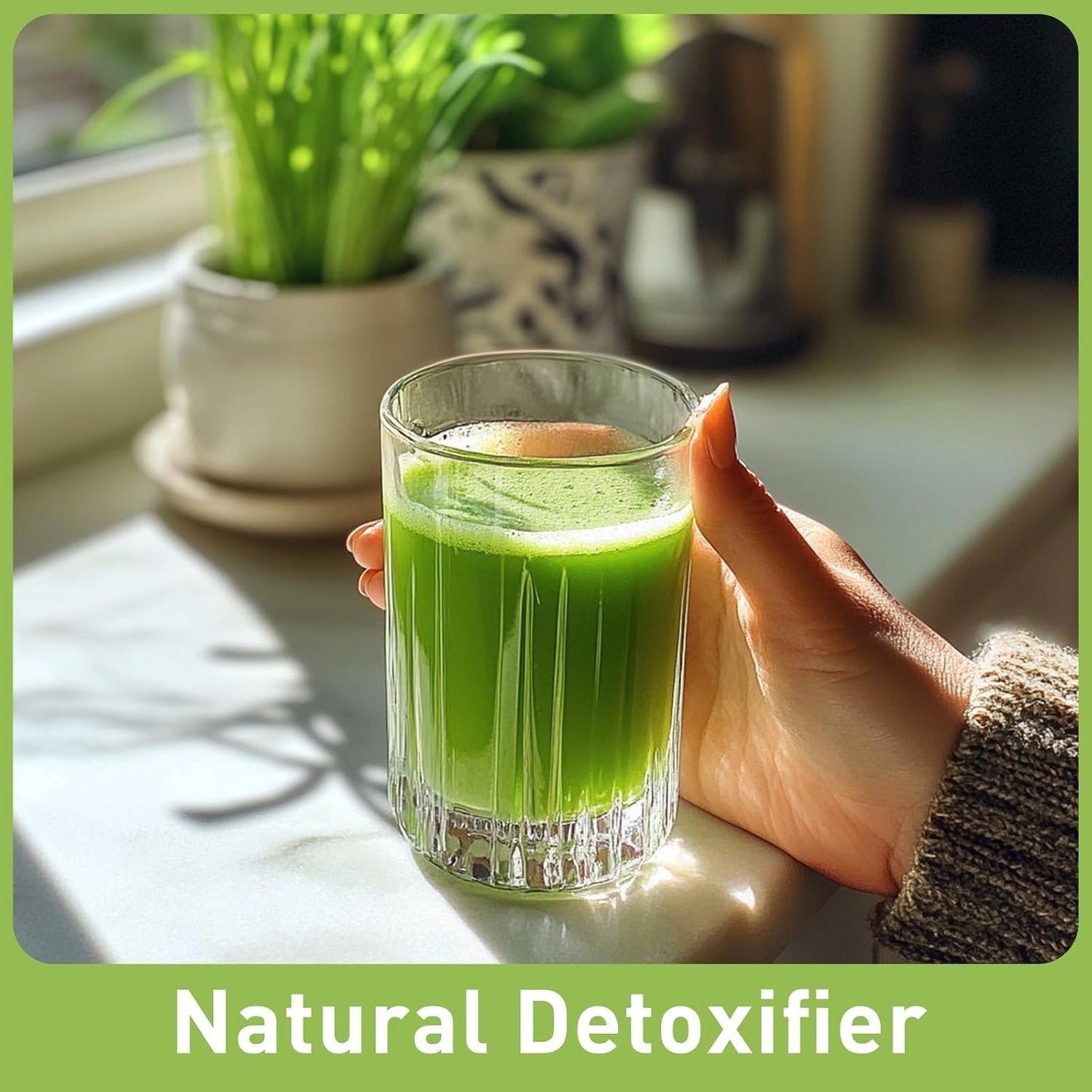 UNLEASH'D ORGANIC Organic Wheatgrass Juice Powder 16oz – 100% Pure Superfood, Immune & Energy Boost, Detox Support - PrimeBioHealth - canada supplements