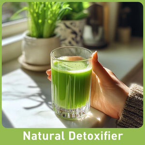 UNLEASH'D ORGANIC Organic Wheatgrass Juice Powder 16oz – 100% Pure Superfood, Immune & Energy Boost, Detox Support - PrimeBioHealth - canada supplements