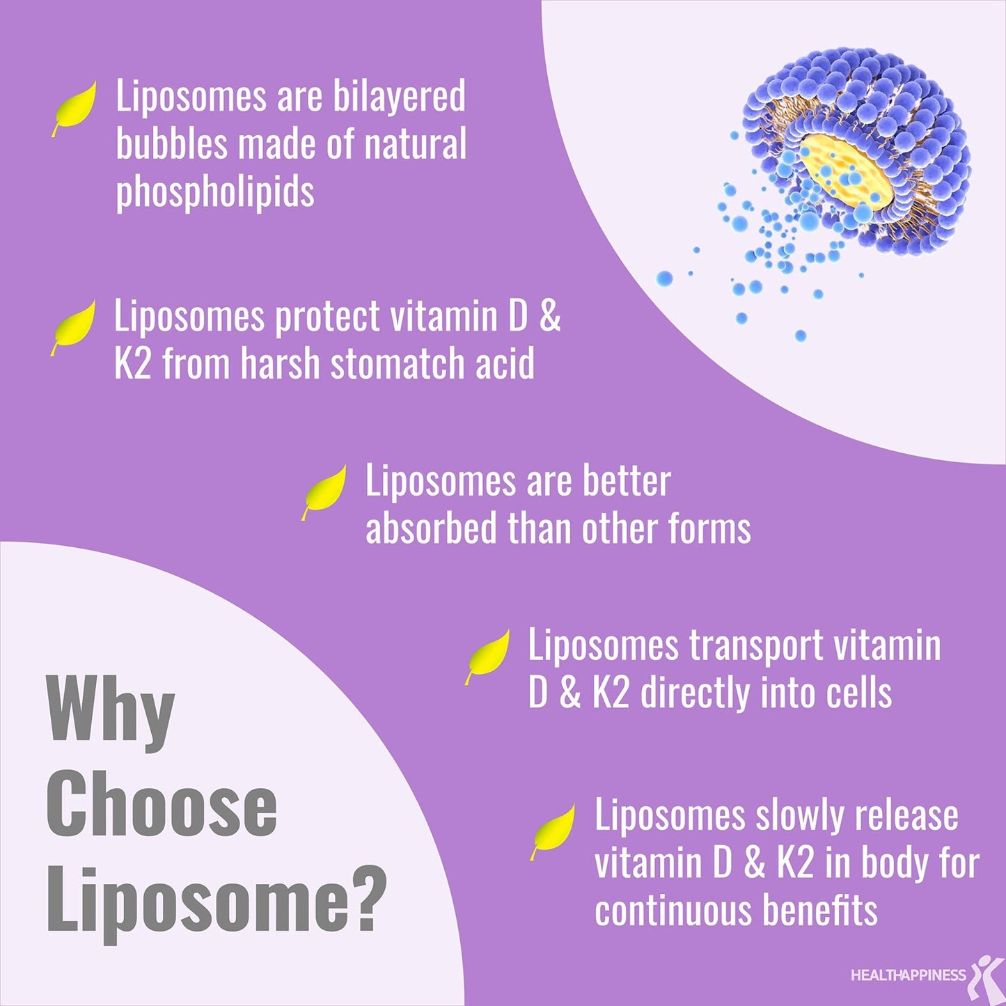 UpNourish Liposomal D3 K2 MK-7 – 365 Mini softgels with Organic Coconut Oil - 5000 IU 125 mcg Vitamin D3 and 100 mcg Vitamin k2 for Optimal Bone and Immune Health - PrimeBioHealth - canada supplements