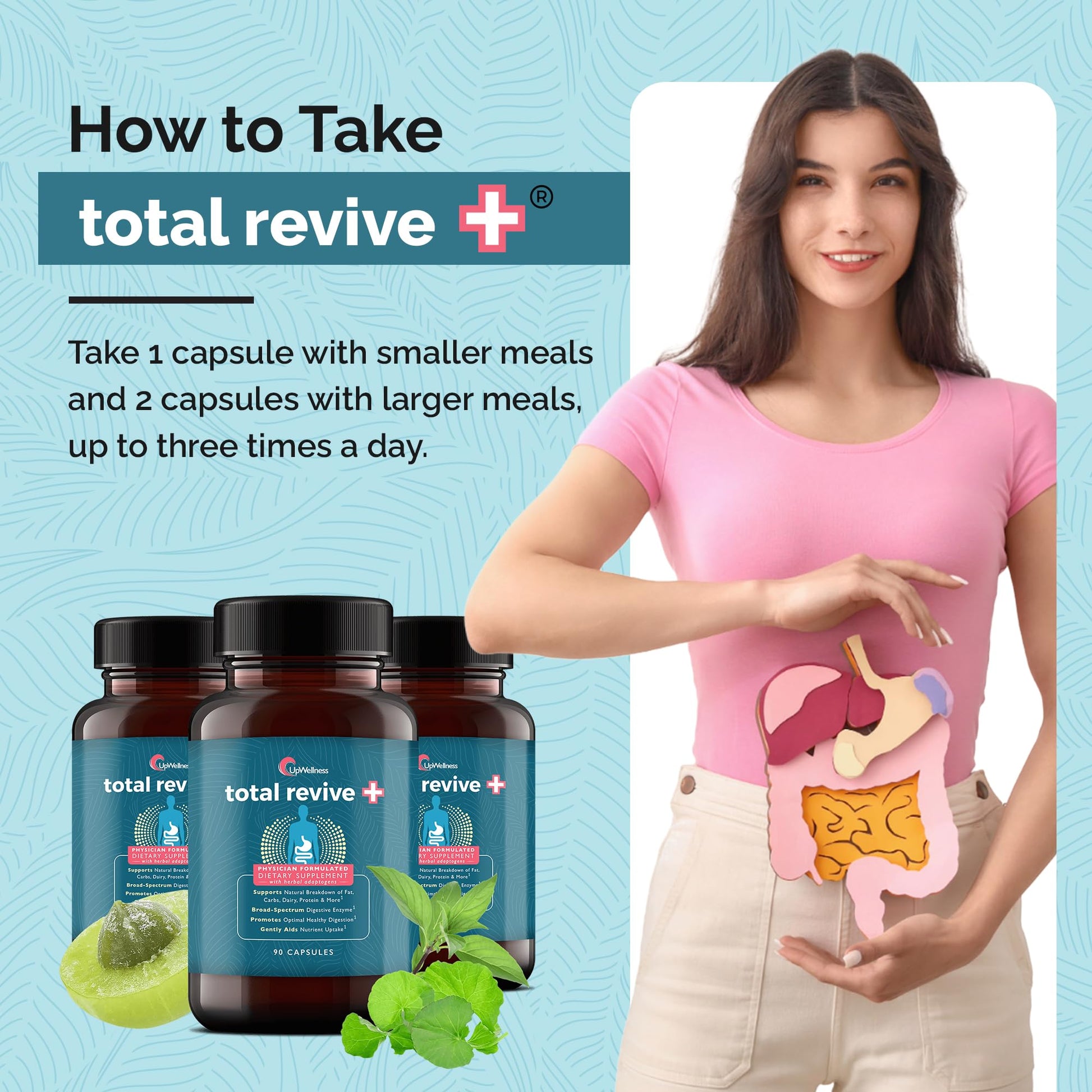 UpWellness Total Revive+ Digestive Enzymes - Broad-Spectrum Enzymes for Digestive Health - Supports Gut Health and Nutrient Absorption - PrimeBioHealth - canada supplements