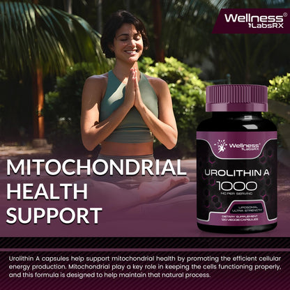 Urolithin A Supplement Capsules 1,000mg (98.9% Pure) – Advanced Urolithin A+ Formula for Cellular Renewal & Mitochondrial Support - PrimeBioHealth - canada supplements