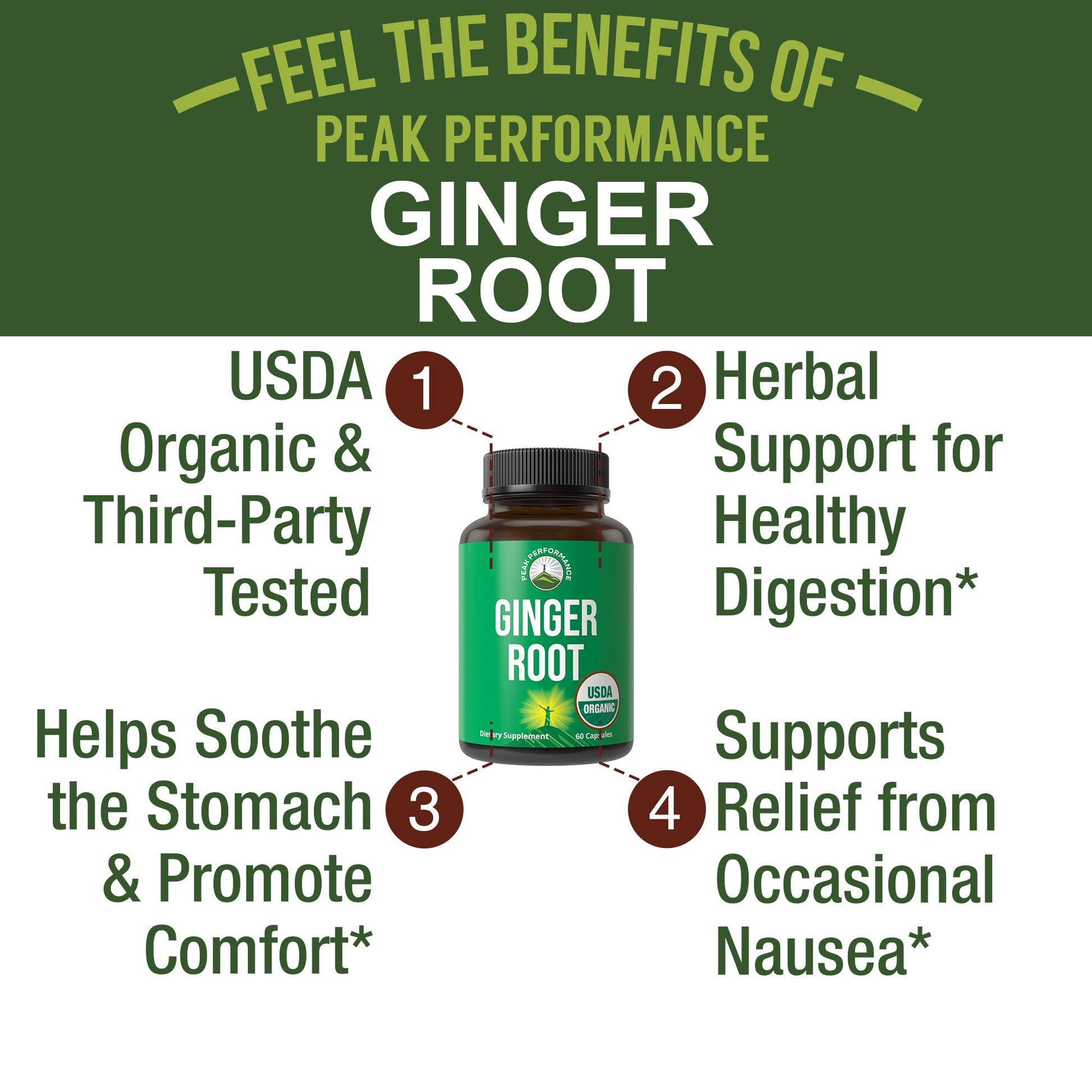 USDA Organic Ginger Root Extract Liquid Drops. Zero Sugar, Non Bitter Vegan Ginger Oil Supplement for Immune, Digestive + Gut Support. High Bioavailability, Gluten Free for Women and Men. Take Orally - PrimeBioHealth - canada supplements