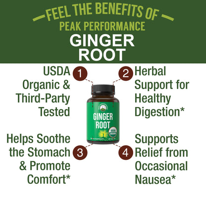 USDA Organic Ginger Root Extract Liquid Drops. Zero Sugar, Non Bitter Vegan Ginger Oil Supplement for Immune, Digestive + Gut Support. High Bioavailability, Gluten Free for Women and Men. Take Orally - PrimeBioHealth - canada supplements