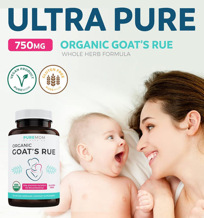 USDA Organic Goat's Rue - Increase Milk Supply for Breastfeeding & Herbal Lactation Support - Aid for Mothers - Non-GMO Goats Rue Lactation Supplement - 60 Vegan Capsules (No Pills, Tea, or Cookies) - PrimeBioHealth - canada supplements