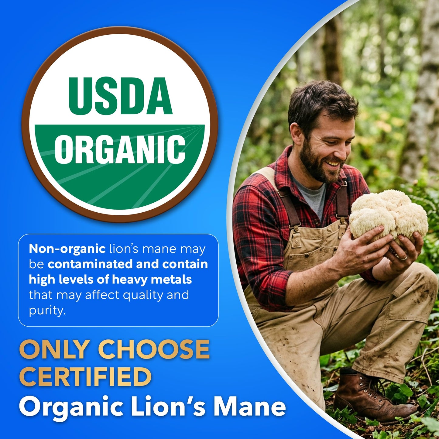 USDA Organic Lion's Mane, 50% Polysaccharides, 120ct | Focus | Brain Health - PrimeBioHealth - canada supplements