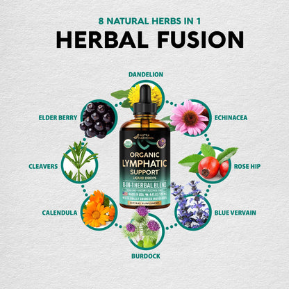 USDA Organic Lymphatic Drainage Supplement - Echinacea | Elderberry | Dandelion | Rosehip | Cleavers | Calendula | Burdock - Made in USA - Lymph System Drops - PrimeBioHealth - canada supplements