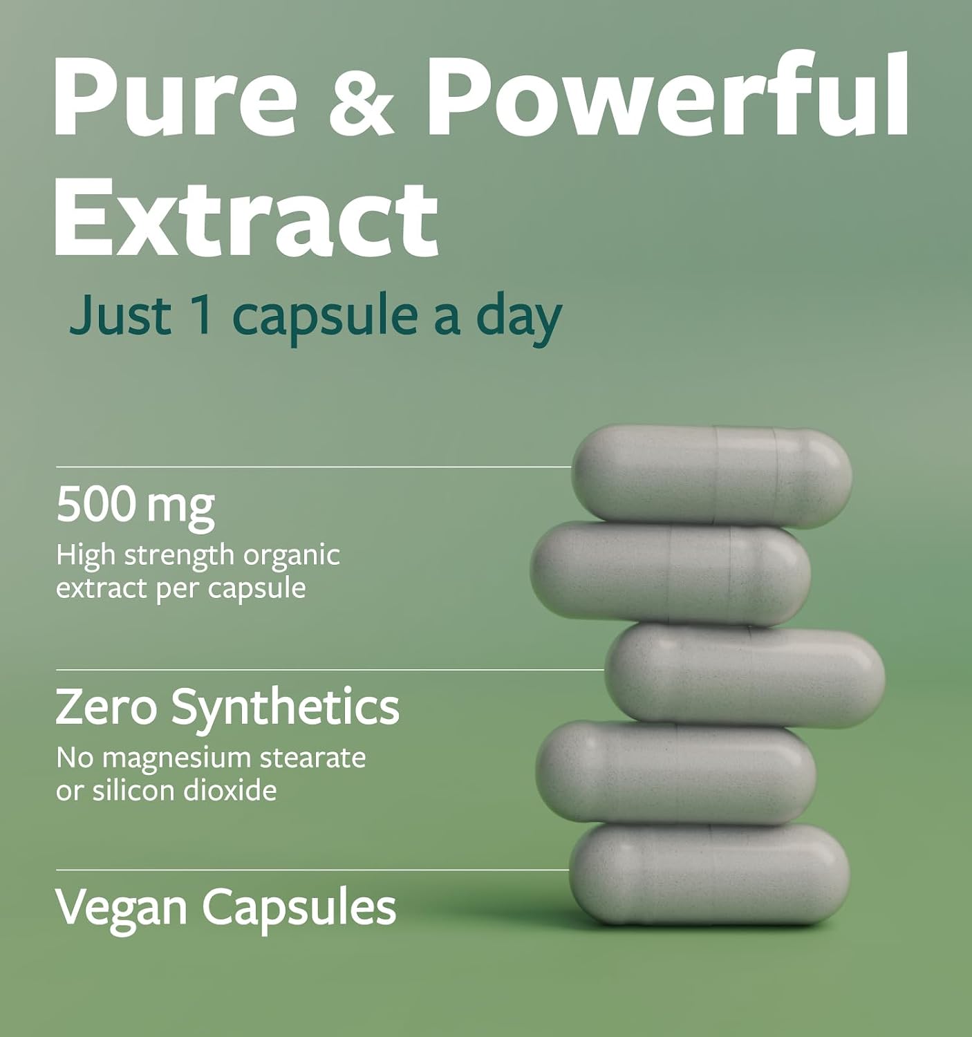 USDA Organic Moringa Capsules - High Potency Organic Moringa 500mg Extract 10:1 Per 1 Capsule Serving - Nutrient Dense Green Superfood Antioxidant - Vegan & Non-GMO Moringa (4 Month Supply) - PrimeBioHealth - canada supplements