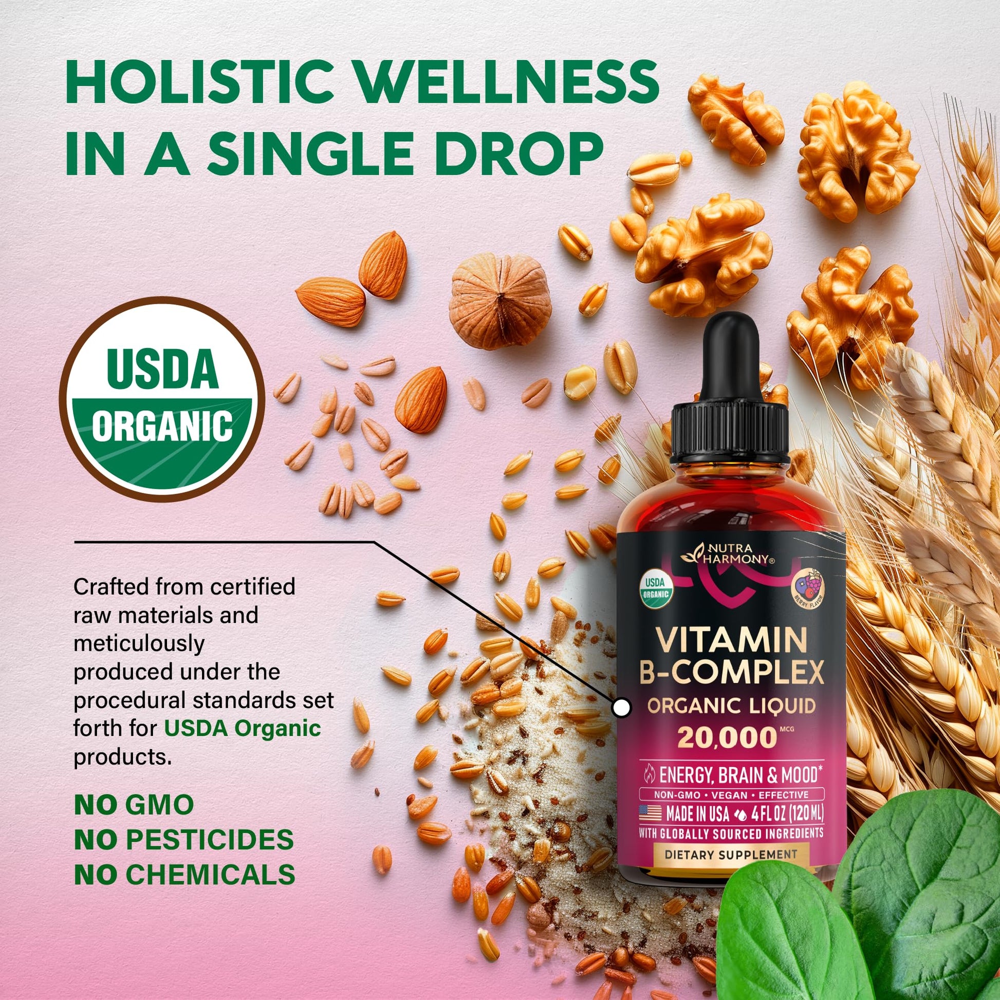 USDA Organic Vitamin B-Complex B5 Pantothenic Acid | B12 Methylcobalamin | B1 Thiamine | B6 Pyridoxine | B7 Biotin | B9 Folic | B3 Niacinamide - PrimeBioHealth - canada supplements