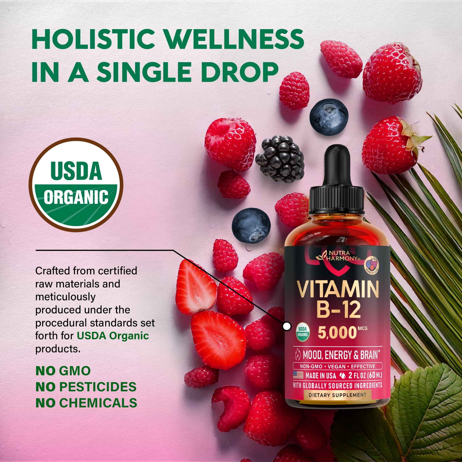 USDA Organic Vitamin B12 Sublingual Drops - 5000 mcg Liquid Vegan Methylcobalamin for Women & Men - Energy Boost, Focus & Mood, Brain Health Support - PrimeBioHealth - canada supplements