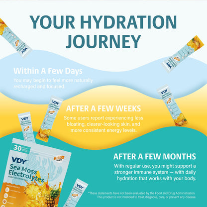 VDY Sea Moss Electrolytes Powder Packets - Hydration Packets Sugar Free - Electrolyte Packets with 30 Sticks - Zero Sugar & 0 Calorie - Keto Friendly - PrimeBioHealth - canada supplements