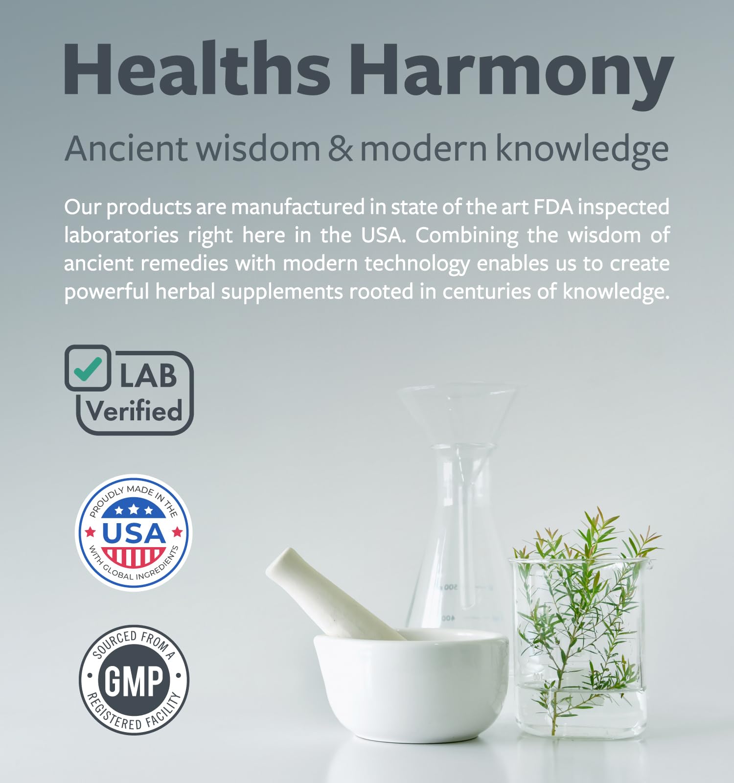Vegan Sambucus Elderberry Gummies for Adults - Black Elderberry Vitamin C and Zinc Gummies for Daily and Seasonal Wellness - Delicious and Nutritious Immune Support Gummy (1 Month Supply) - PrimeBioHealth - canada supplements