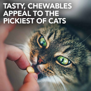 Vet's Best Cat Urinary Supplement, Urinary Tract Support Chewable for Cats, Supports A Healthy Urinary Tract in Cats, 60 Chewable Tablets