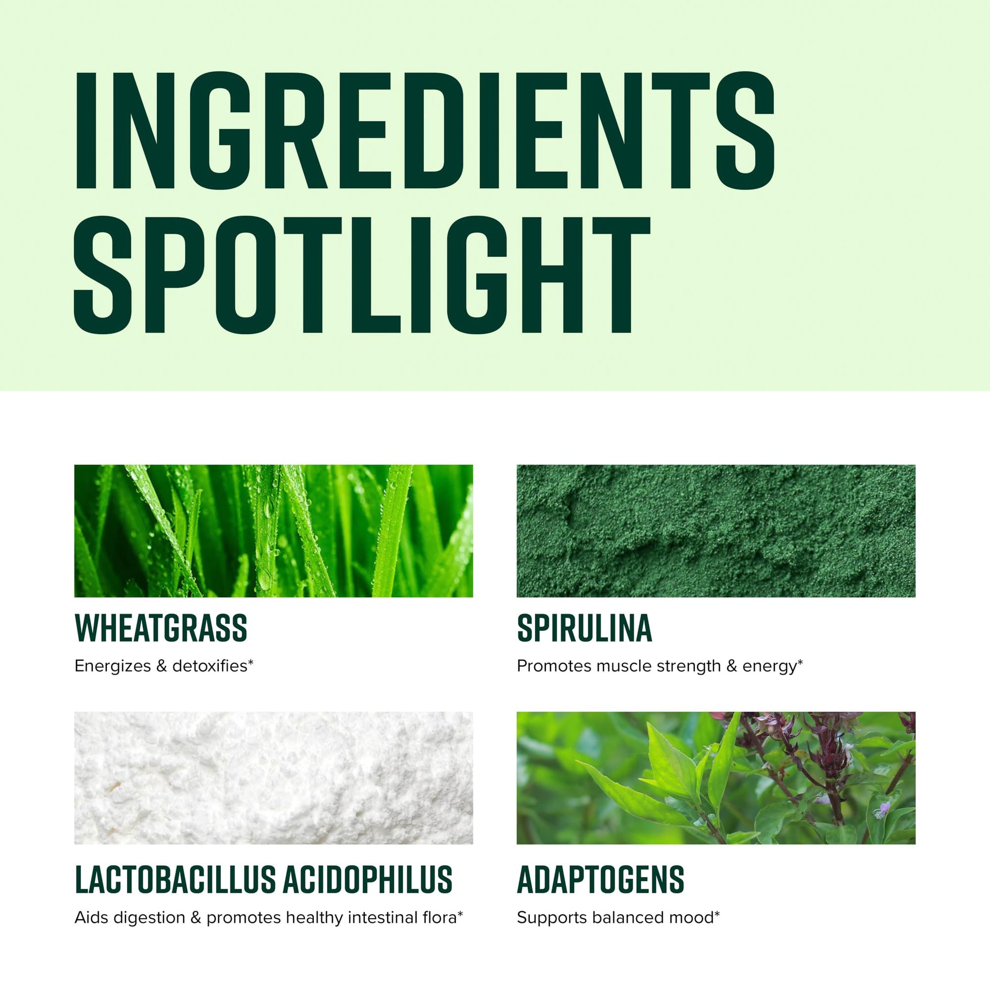 Vibrant Health, Green Vibrance, Vegan Superfood Powder, Boost Energy, 60 Servings - PrimeBioHealth - canada supplements