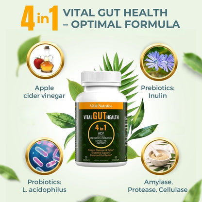 Vital Gut Health 4in1 Formula with Apple Cider Vinegar, Prebiotics & Probiotics, Digestive Enzymes for Strong Immunity Support - PrimeBioHealth - canada supplements