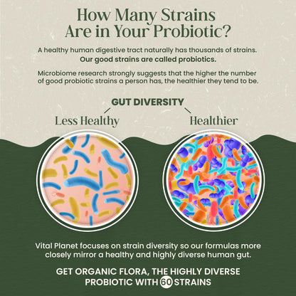 Vital Planet - Organic Flora Probiotics for Gut Health Balance, Shelf Stable Probiotic 30 Billion CFU, 60 Diverse Strains, Prebiotic Organic Mushroom Blend - PrimeBioHealth - canada supplements
