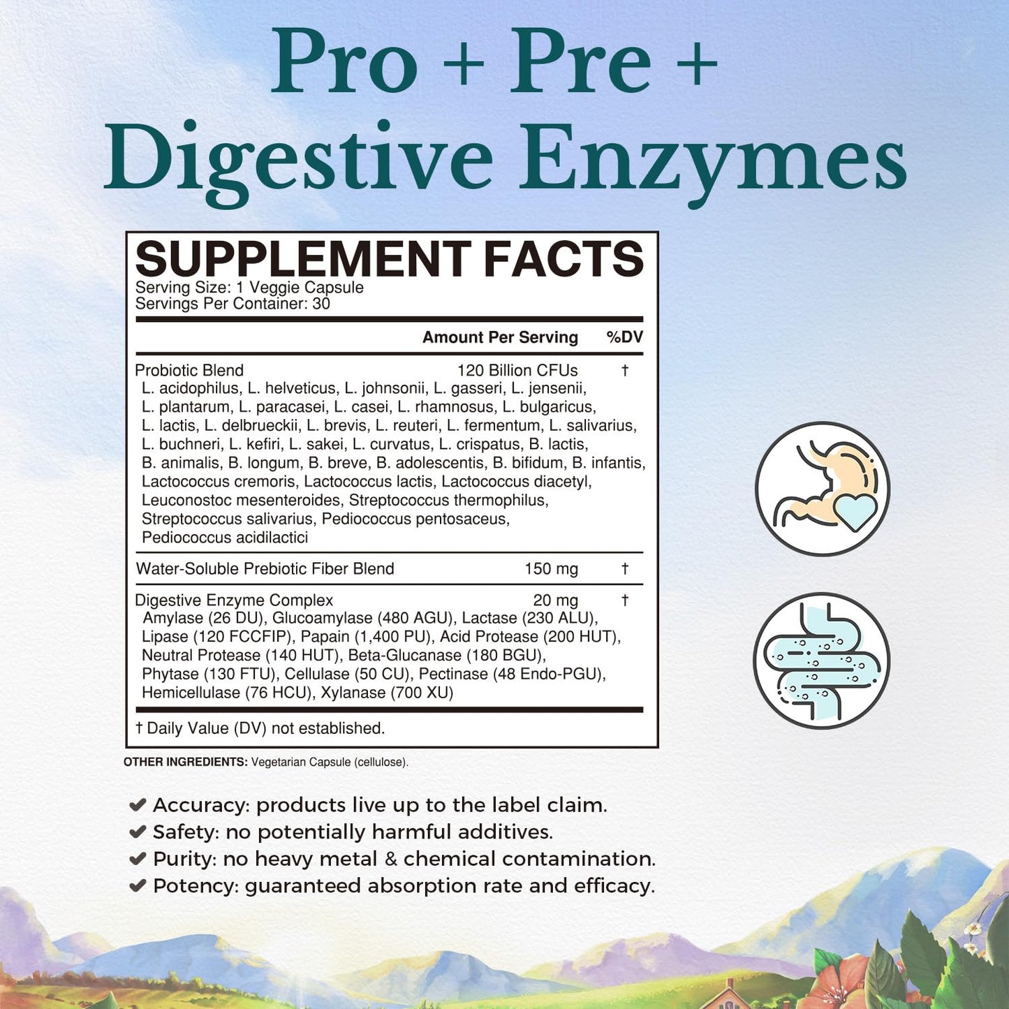 VITALITOWN Probiotics 120 Billion CFUs | 36 Strains, with Prebiotics & Digestive Enzymes for Men Women | Shelf Stable | Digestive Health & Immune Support - PrimeBioHealth - canada supplements