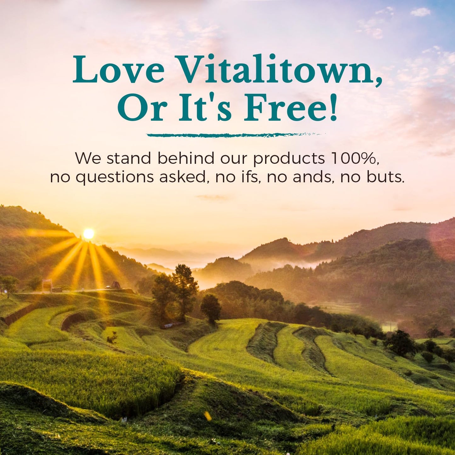 VITALITOWN Probiotics 120 Billion CFUs | 36 Strains, with Prebiotics & Digestive Enzymes for Men Women | Shelf Stable | Digestive Health & Immune Support - PrimeBioHealth - canada supplements