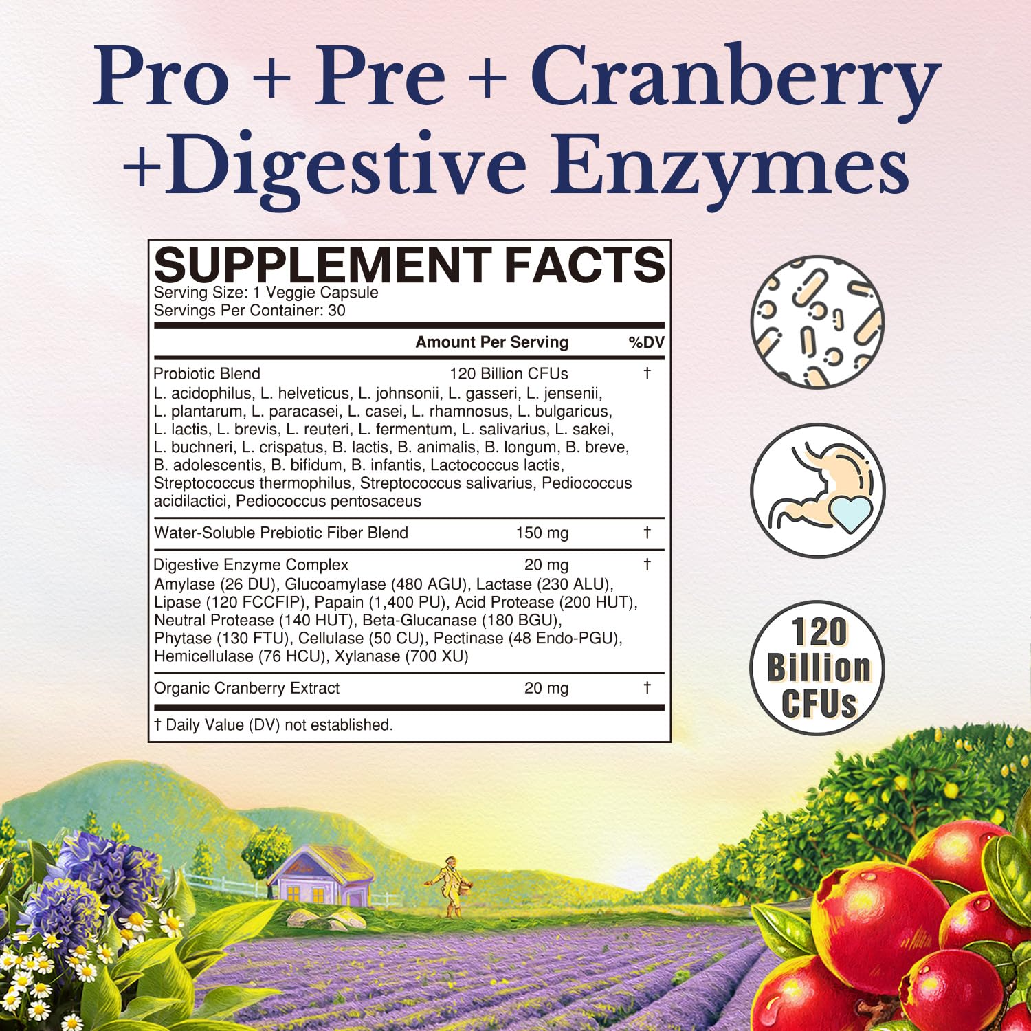 Vitalitown Probiotics for Women 120 Billion CFUs, 30 Strains, with Prebiotics & Digestive Enzymes & Cranberry, Gut & Vaginal Health, Vegan 30 - PrimeBioHealth - canada supplements