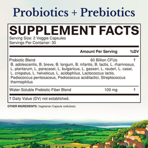 Vitalitown Probiotics + Prebiotics | 60 Billion CFUs 19 Strains | 60 Delayed Release Veg Caps | Shelf Stable, Prebiotics and Probiotics | Digestive Health - PrimeBioHealth - canada supplements