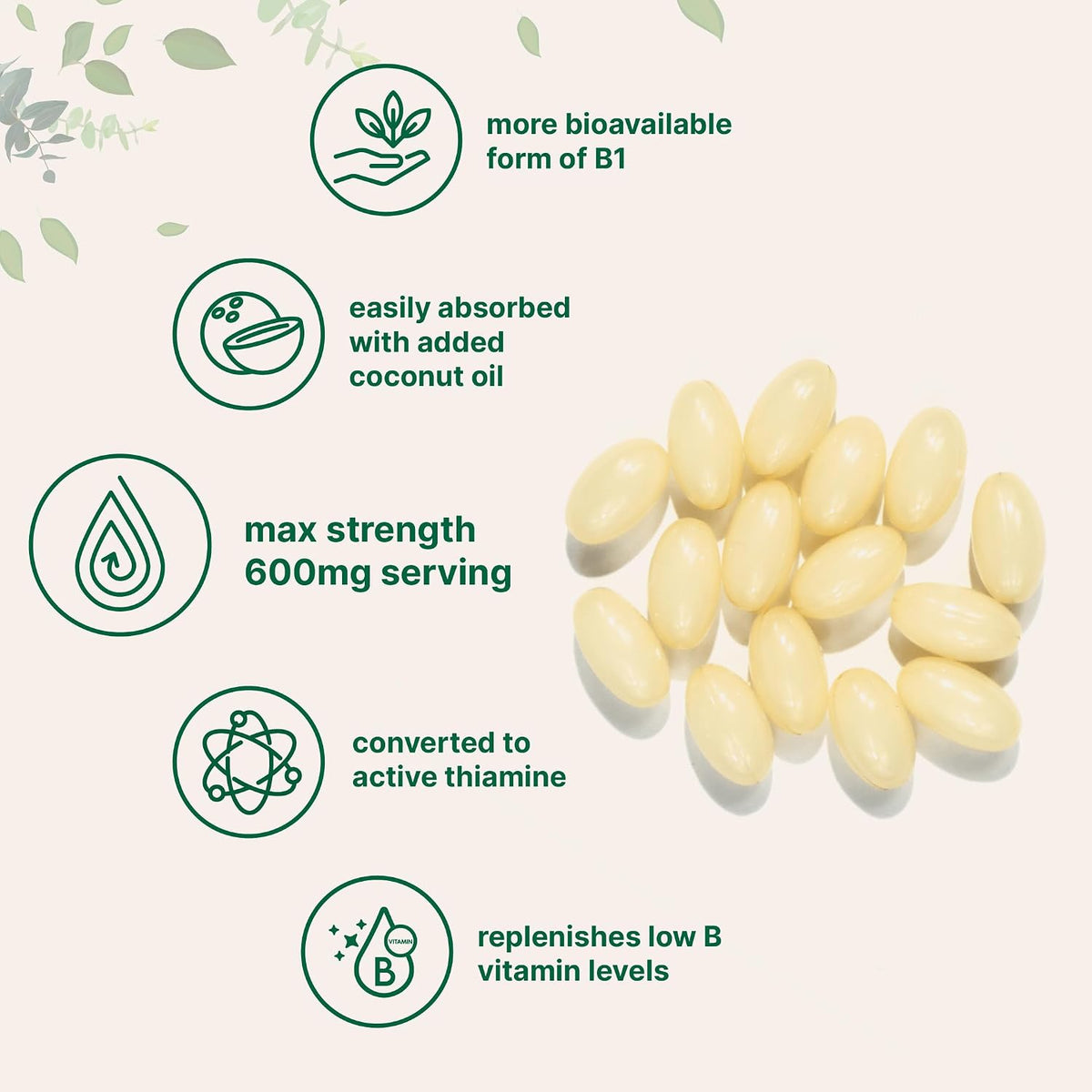 Vitamin B1 Benfotiamine 600mg Per Serving, 240 Coconut Oil Softgels | Bioavailable B Vitamins Supplement, Converted to Active Thiamine | Non-GMO, Soy Free - PrimeBioHealth - canada supplements