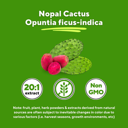Vitapia Nopal Cactus Extract for Antioxidant, Skin, Metabolism, Wellness, Heart Health Support - 120 Veggie Capsules - Non GMO, Gluten Free Supplement - PrimeBioHealth - canada supplements