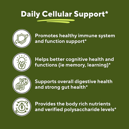 Vitapia Pure Fucoidan 85% Brown Seaweed Extract for Immune, Strong Cellular Health, Digestive Support - 1000mg Fucoidan Per Serving - 120 Veggie Capsules Non-GMO, Gluten-Free, Vegan-Friendly - PrimeBioHealth - canada supplements