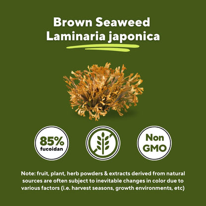 Vitapia Pure Fucoidan 85% Brown Seaweed Extract for Immune, Strong Cellular Health, Digestive Support - 1000mg Fucoidan Per Serving - 120 Veggie Capsules Non-GMO, Gluten-Free, Vegan-Friendly - PrimeBioHealth - canada supplements