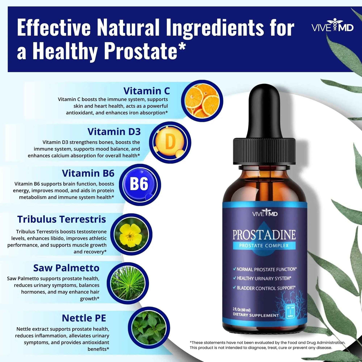 VIVE MD Prostadine Drops for Prostate Health, Bladder Urinating Issues - Prostadine Official Drop Formula - Extra Strength with Pomegranate, Prostadine Reviews (Package of 5)