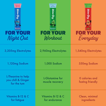 Waterboy Daily Hydration | 1,570mg Electrolyte Powder Packets | No Sugar, All Natural, Gluten Free, Zero Calories | 15 Drink Stick Mixes (Watermelon) - PrimeBioHealth - canada supplements