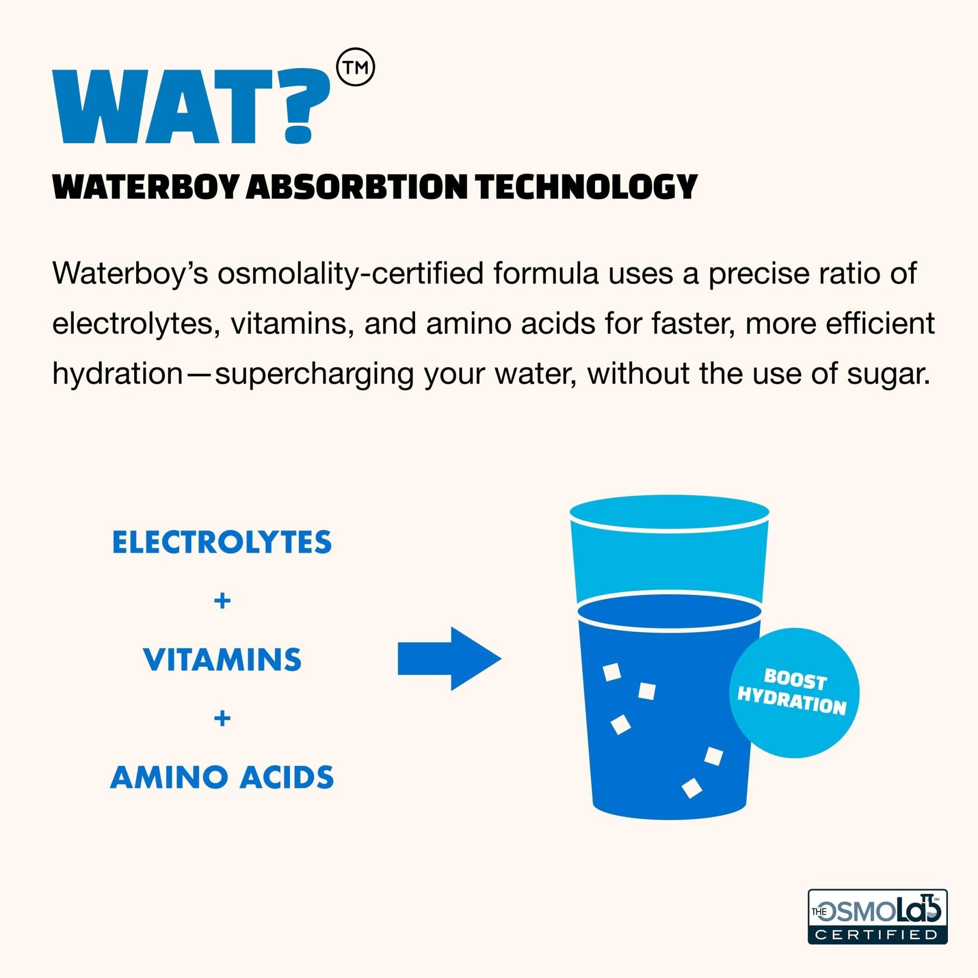Waterboy Workout Hydration | 2,960mg Sugar Free Electrolyte Powder Packets | L-Glutamine + Vitamins | No Sugar, All Natural, Gluten Free - PrimeBioHealth - canada supplements