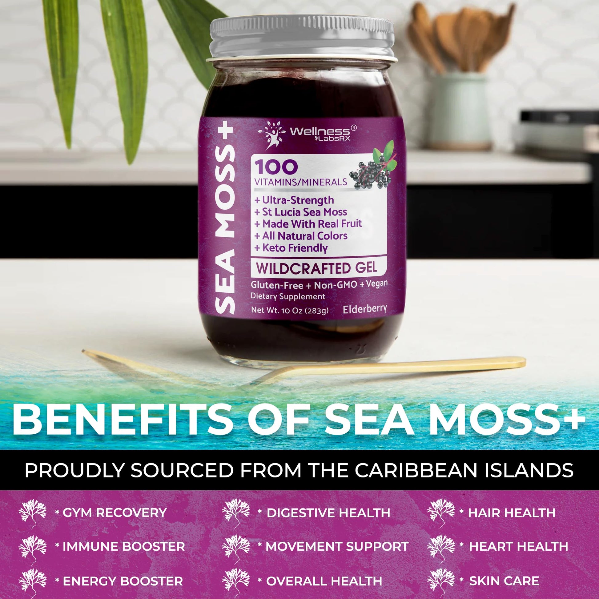 WELLNESS LABSRX Irish Sea Moss Gel Raw - Wildcrafted Superfood Seamoss Gel - Pineapple Mango Flavor, Vitamin and Mineral-Rich from Pristine Caribbean Waters - 10 oz. - PrimeBioHealth - canada supplements