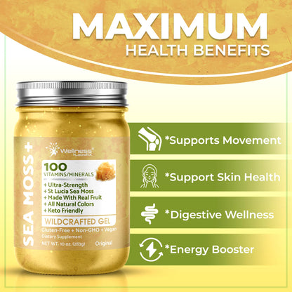 WELLNESS LABSRX Irish Sea Moss Gel Raw - Wildcrafted Superfood Seamoss Gel - Pineapple Mango Flavor, Vitamin and Mineral-Rich from Pristine Caribbean Waters - 10 oz. - PrimeBioHealth - canada supplements