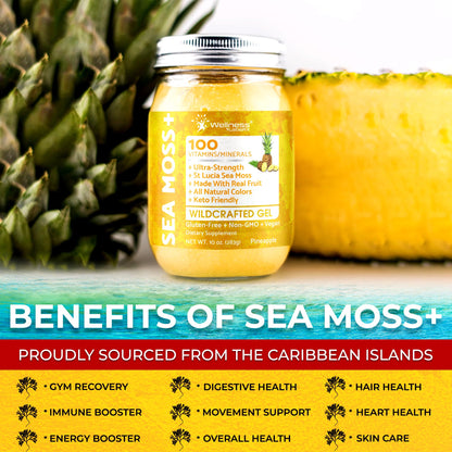 WELLNESS LABSRX Irish Sea Moss Gel Raw - Wildcrafted Superfood Seamoss Gel - Pineapple Mango Flavor, Vitamin and Mineral-Rich from Pristine Caribbean Waters - 10 oz. - PrimeBioHealth - canada supplements