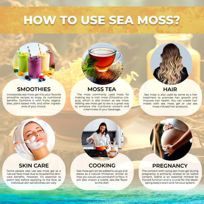 WELLNESS LABSRX Irish Sea Moss Gel Raw - Wildcrafted Superfood Seamoss Gel - Pineapple Mango Flavor, Vitamin and Mineral-Rich from Pristine Caribbean Waters - 10 oz. - PrimeBioHealth - canada supplements