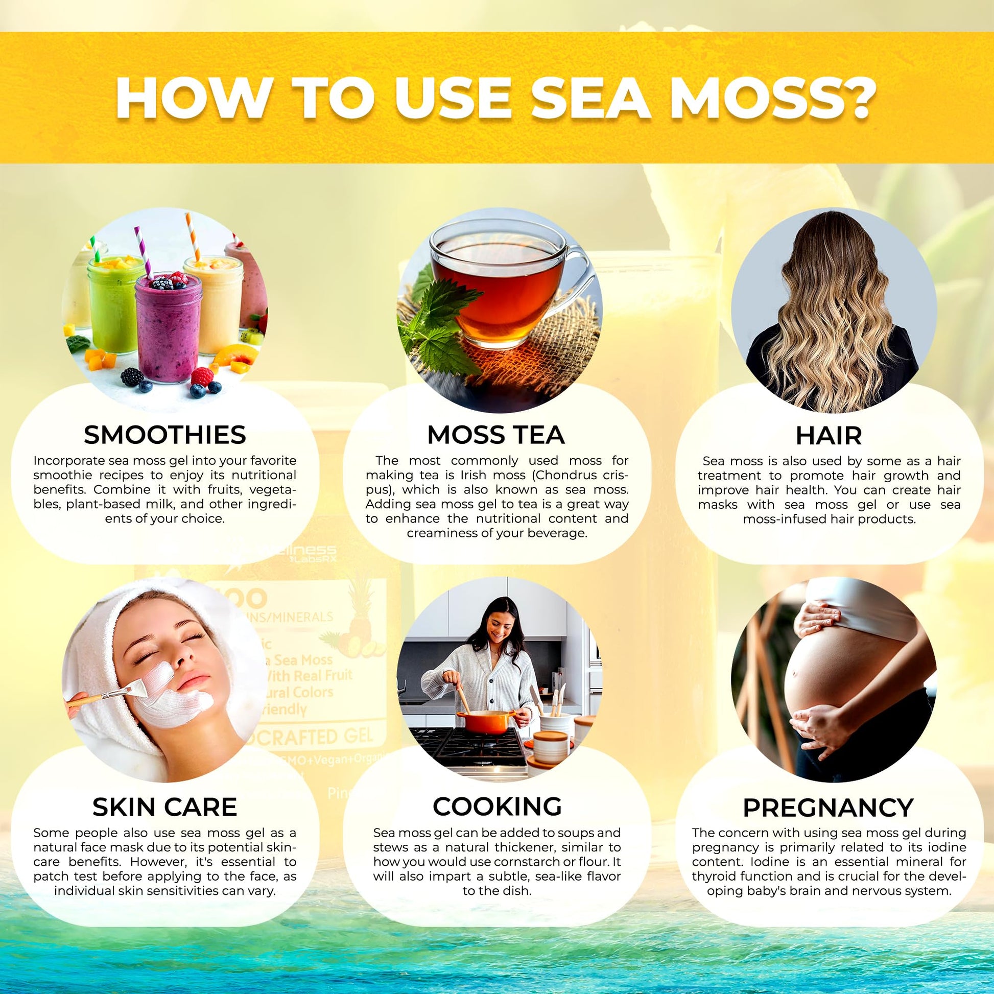 WELLNESS LABSRX Irish Sea Moss Gel Raw - Wildcrafted Superfood Seamoss Gel - Pineapple Mango Flavor, Vitamin and Mineral-Rich from Pristine Caribbean Waters - 10 oz. - PrimeBioHealth - canada supplements