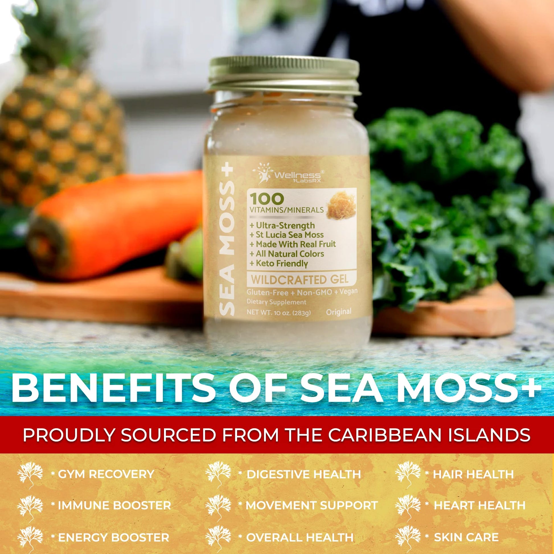 WELLNESS LABSRX Irish Sea Moss Gel Raw - Wildcrafted Superfood Seamoss Gel - Pineapple Mango Flavor, Vitamin and Mineral-Rich from Pristine Caribbean Waters - 10 oz. - PrimeBioHealth - canada supplements