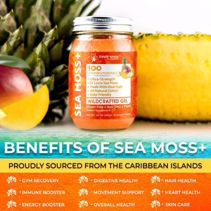 WELLNESS LABSRX Irish Sea Moss Gel Raw - Wildcrafted Superfood Seamoss Gel - Pineapple Mango Flavor, Vitamin and Mineral-Rich from Pristine Caribbean Waters - 10 oz. - PrimeBioHealth - canada supplements