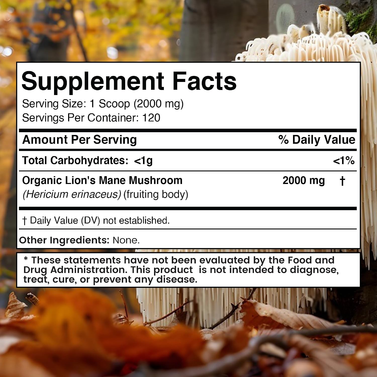 WELLNESS LABSRX Lions Mane Powder 2000mg - Mushroom Powder 25 in 1 2000mg | Bundle - PrimeBioHealth - canada supplements