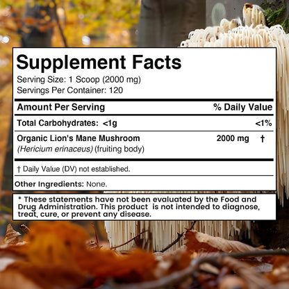 WELLNESS LABSRX Lions Mane Powder 2000mg - Mushroom Powder 25 in 1 2000mg | Bundle - PrimeBioHealth - canada supplements