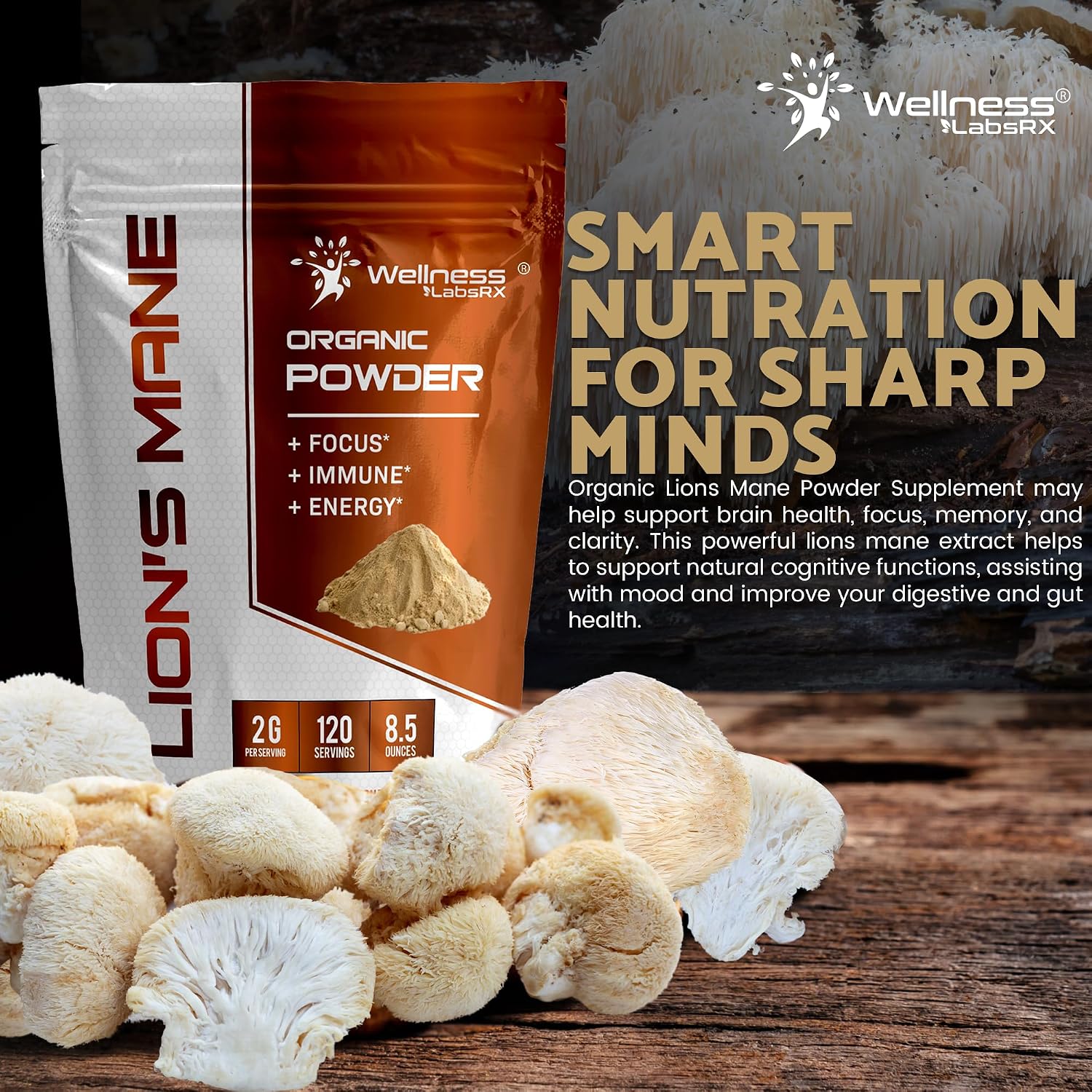 WELLNESS LABSRX Lions Mane Powder, Mushroom Supplement - 2000mg - Lions Mane Supplement - Lion's Mane Mushroom Powder Brain Supplements for Memory and Focus, Immune Support and Health - 120 Servings - PrimeBioHealth - canada supplements