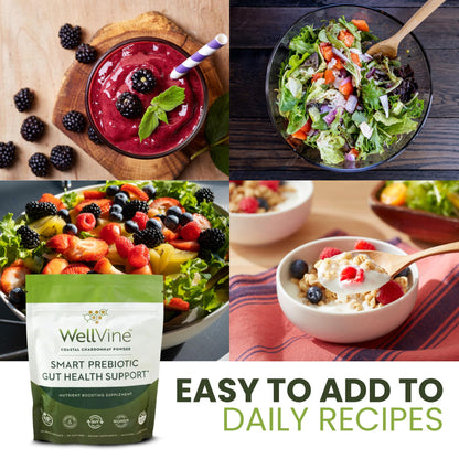 WellVine Premium Smart Prebiotic Gut Health Supplement Powder for Men & Women | Digestive Support & Gut Health With 100% Upcycled Chardonnay Grapes | Plant-Based - PrimeBioHealth - canada supplements