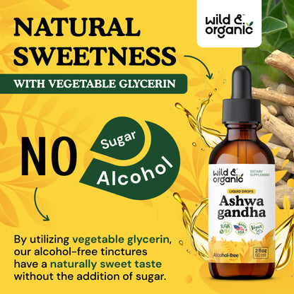 Wild & Organic Ashwagandha Drops - Mood Support & Positive Energy - 500 mg Ashwagandha for Women & Men - Add to Tea Liquid Extract for Relaxation - Non-GMO, Sugar & Alcohol-Free Tincture - 4 fl oz - PrimeBioHealth - canada supplements