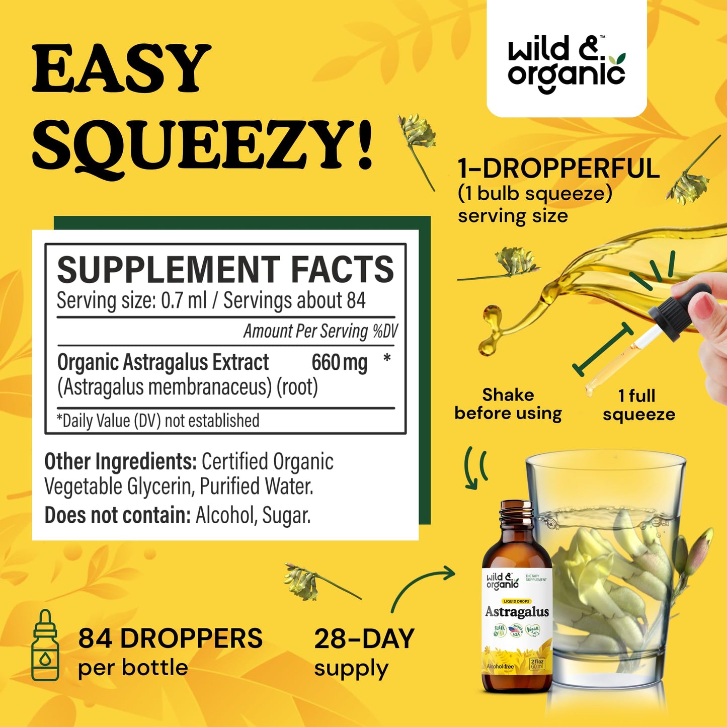 Wild & Organic Astragalus Root Extract Drops - Immune Support - Liquid Astragalus Supplement - Add to Tea & Mix with Powder - Membranaceus Herb - Vegan, Sugar & Alcohol-Free Tincture - 4 fl oz - PrimeBioHealth - canada supplements