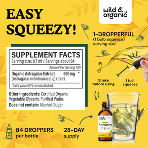 Wild & Organic Astragalus Root Extract Drops - Immune Support - Liquid Astragalus Supplement - Add to Tea & Mix with Powder - Membranaceus Herb - Vegan, Sugar & Alcohol-Free Tincture - 4 fl oz - PrimeBioHealth - canada supplements