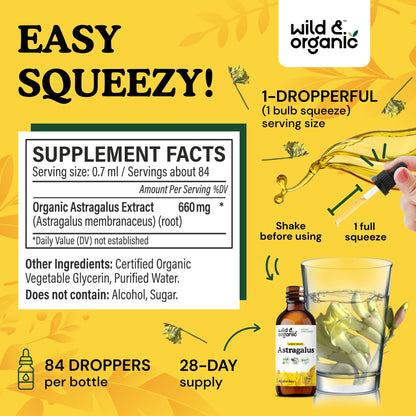 Wild & Organic Astragalus Root Extract Drops - Immune Support - Liquid Astragalus Supplement - Add to Tea & Mix with Powder - Membranaceus Herb - Vegan, Sugar & Alcohol-Free Tincture - 4 fl oz - PrimeBioHealth - canada supplements